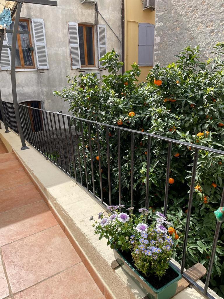 Appartements Climatises - Vieil アンティーブ エクステリア 写真
